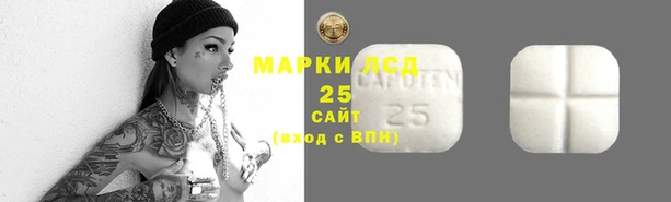 дживик Покачи