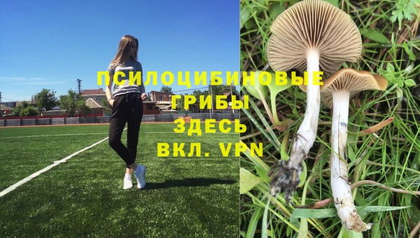МДМА Белокуриха