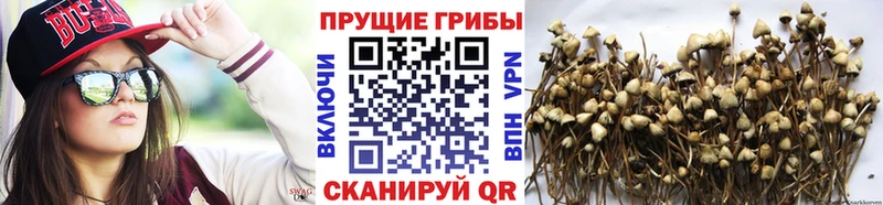 Галлюциногенные грибы MAGIC MUSHROOMS  Надым 